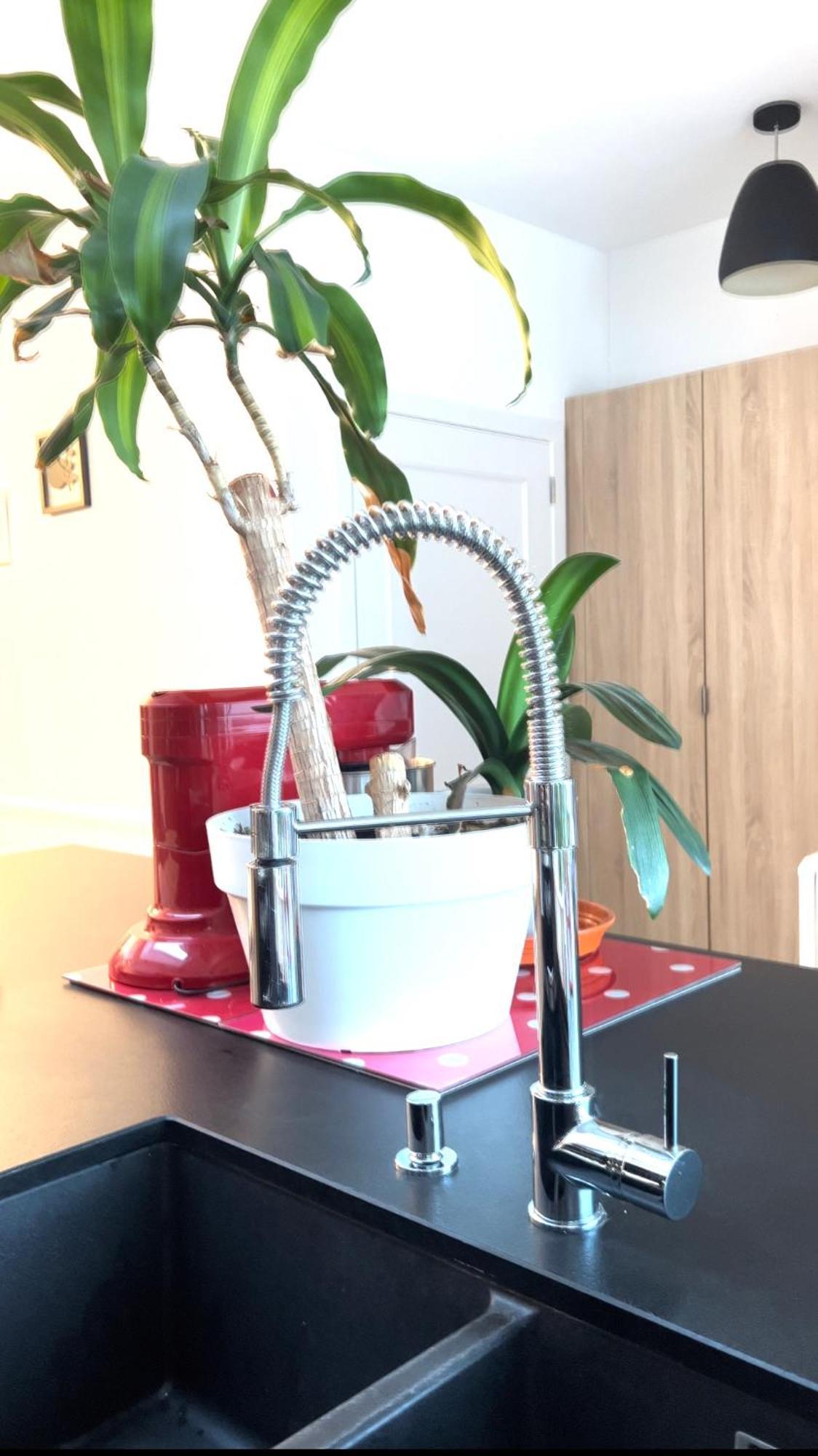 Appartement 3 Chambres Centre Vilvoorde Bruxelles Brusselsairport Expo Nato Anvers Wifi Free Parking Εξωτερικό φωτογραφία